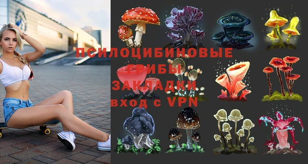 дживик Приозерск