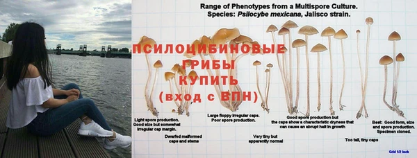 прущая мука Пролетарск